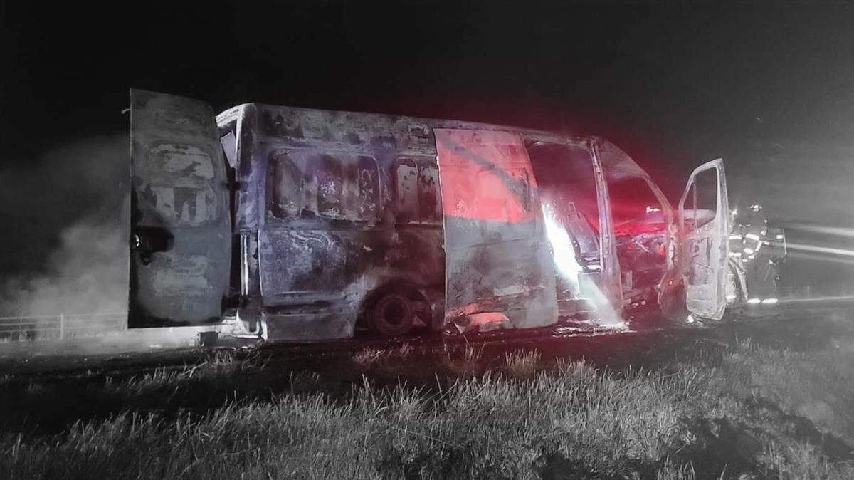 Seven dogs died in a van fire on Interstate 270 in Glen Carbon Friday night while four dogs survived. The van driver and passenger were not injured.