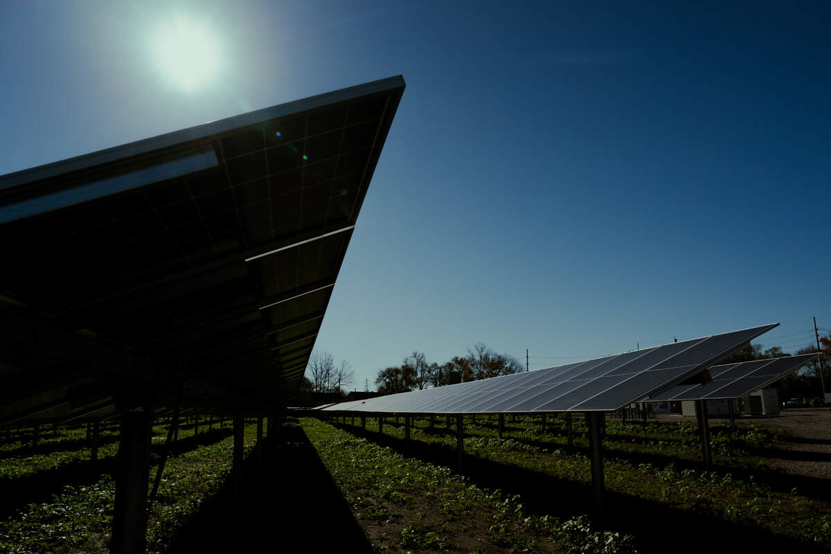 Solar panels line a newly-opened solar energy production facility on Tuesday, Nov. 19, 2024, in East St. Louis.