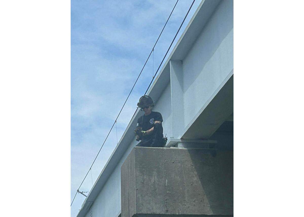 Belleville firefighter Anthony Lombardo rescues a cat near a Metrolink overpass.