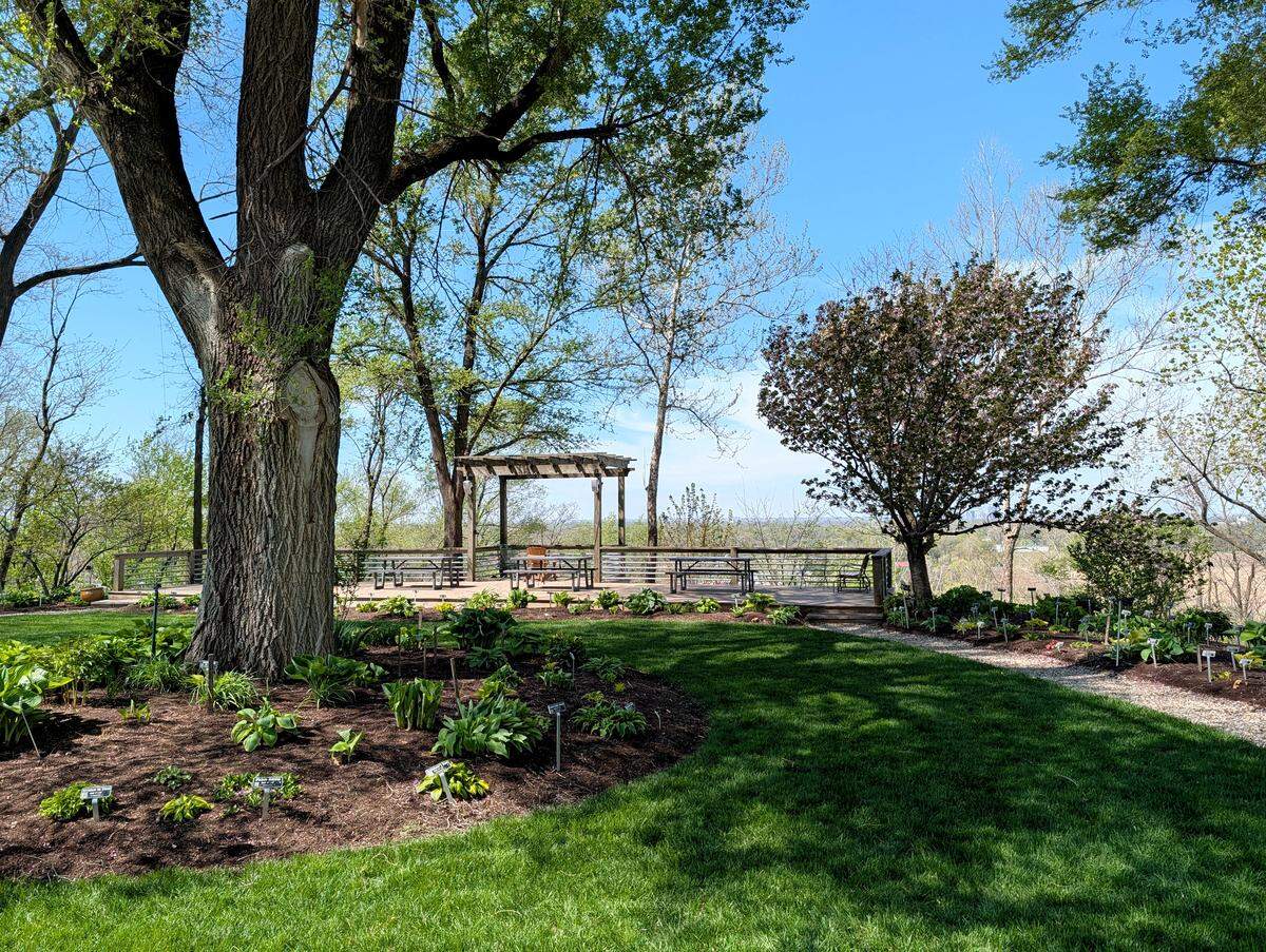 View of the display garden and patio at Hostas on the Bluff