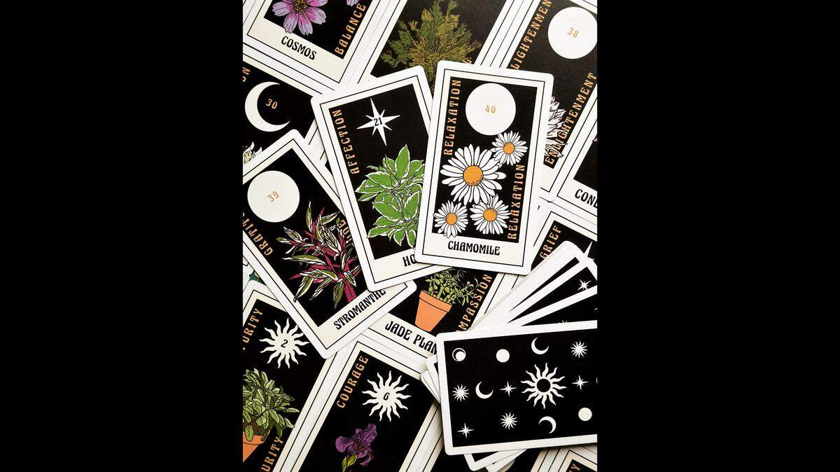 Card deck designed by local artist Ash Satterthwaite, organizer of the Belleville Indie Market