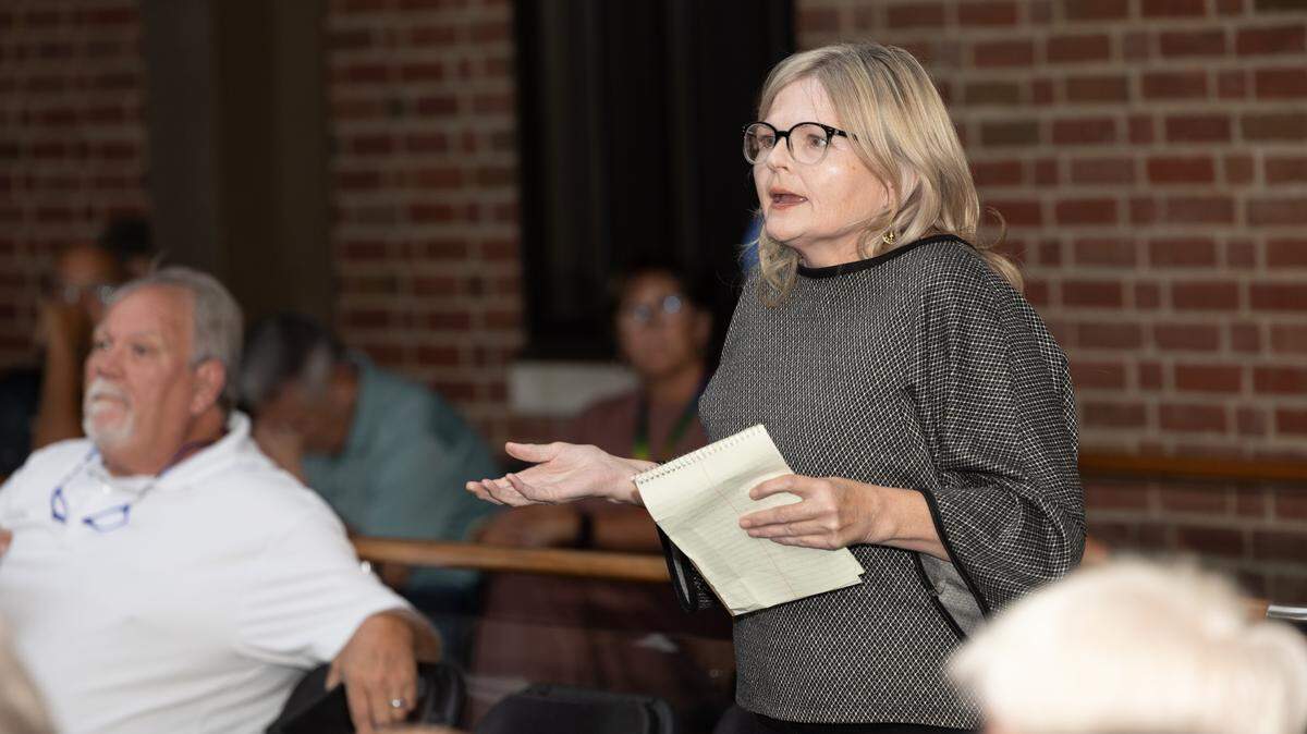 Amy Clark, who opposes development of a solar farm at Mount Hope Cemetery in Belleville, speaks at a public meeting on Thursday at the Southwestern Illinois Justice and Workplace Development Campus.