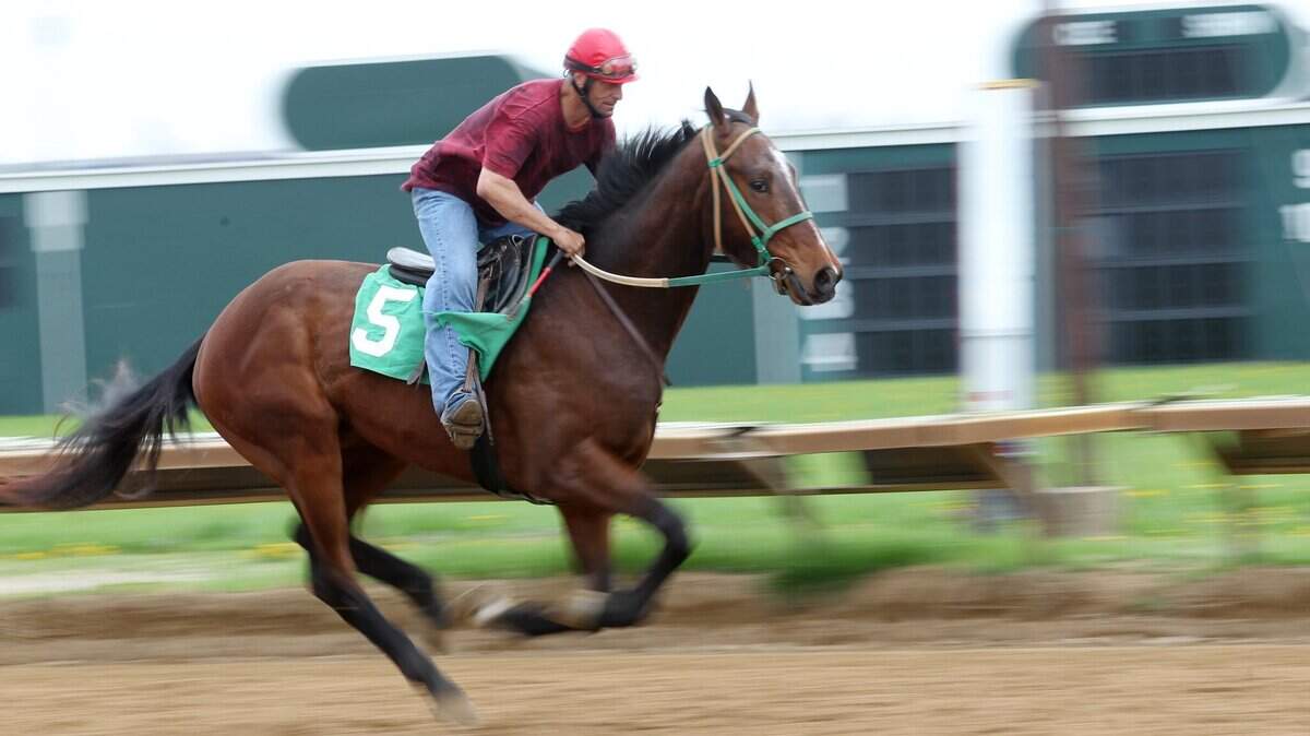 Trainers work horses at Fairmount Park in Collinsville. Sports betting could be key to the horse race track's survival.