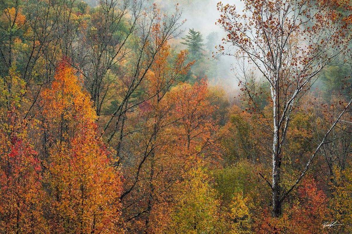 Landscape photograph by Brady Kesner. The annual Art in the Park event will take place from 10 a.m. to 5 p.m. Saturday, Oct. 8, and from 11 a.m. to 4 p.m. Sunday, Oct. 9, at Lindendale Park in Highland.