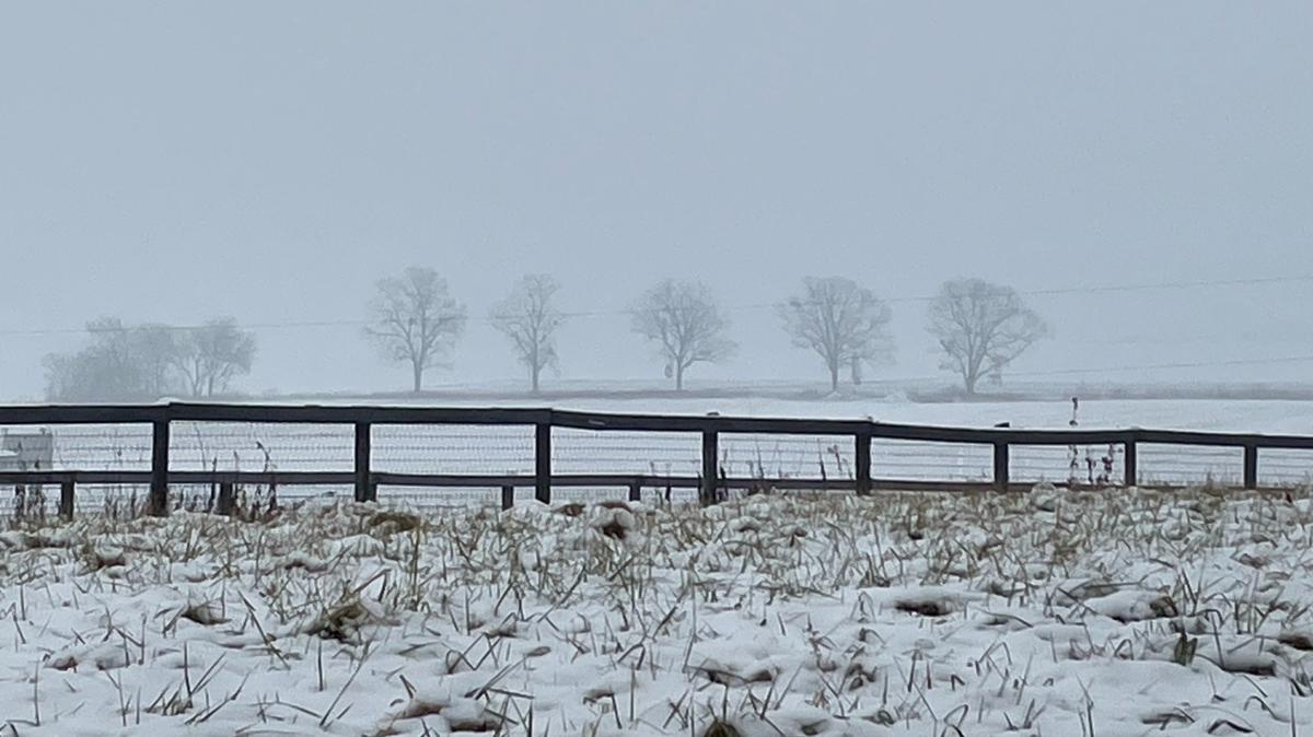 Belleville could see two separate snowfall events this week. Here’s the latest forecast from the National Weather Service.