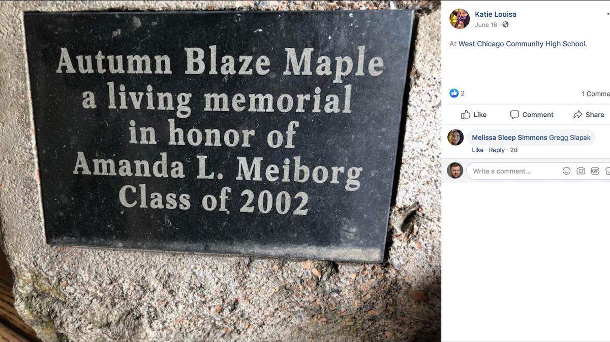 West Chicago Community High School removed a tree and plaque memorializing a student who died of cancer without telling family members, her mother says. Screengrab from Facebook.