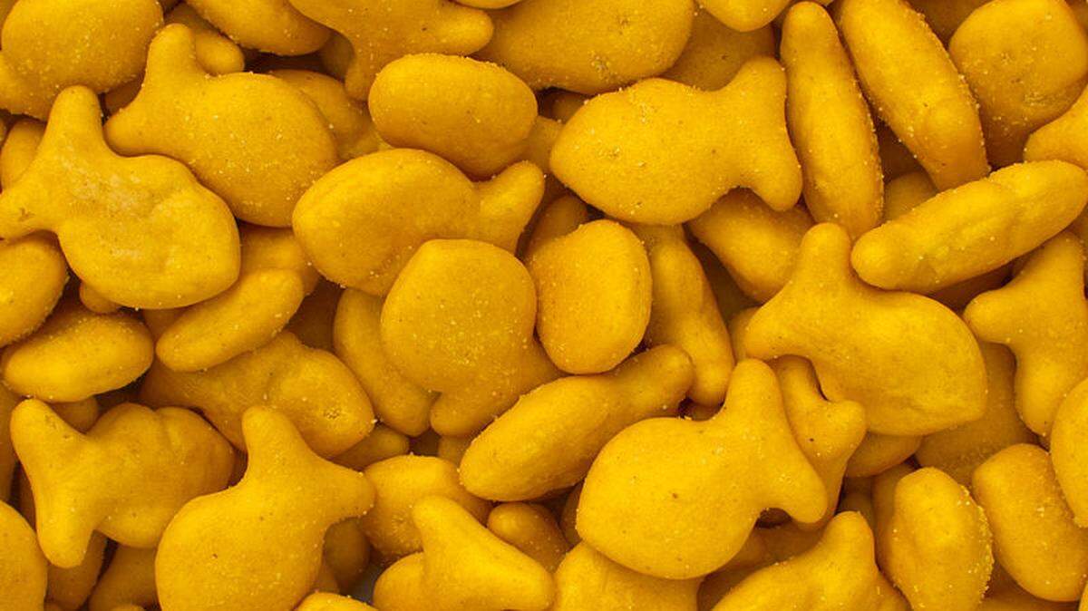 A close-up view of Goldfish crackers