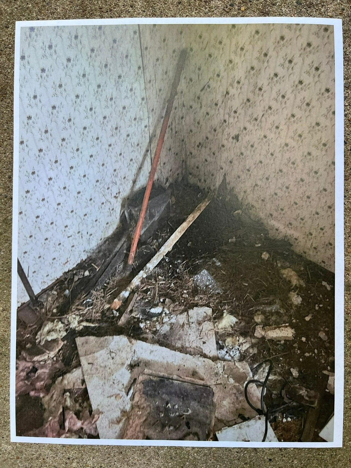 One of about 80 photos taken by Scott Tyler, the city of Belleville’s director of health, housing and building, inside a derelict building at 1013 W. Main St. that is slated for demolition.