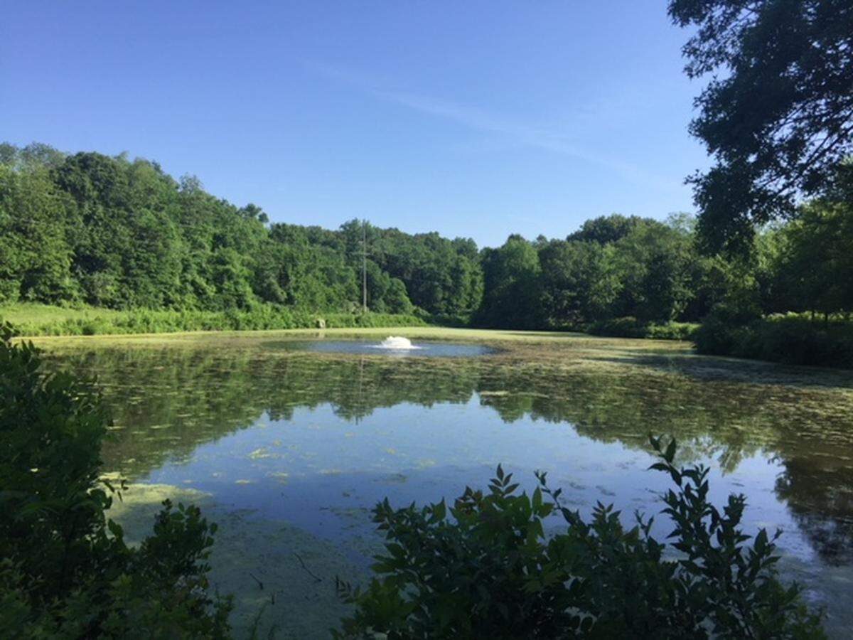 This lake at Bicentennial Park in Belleville will be dredged at a cost of $200,000.