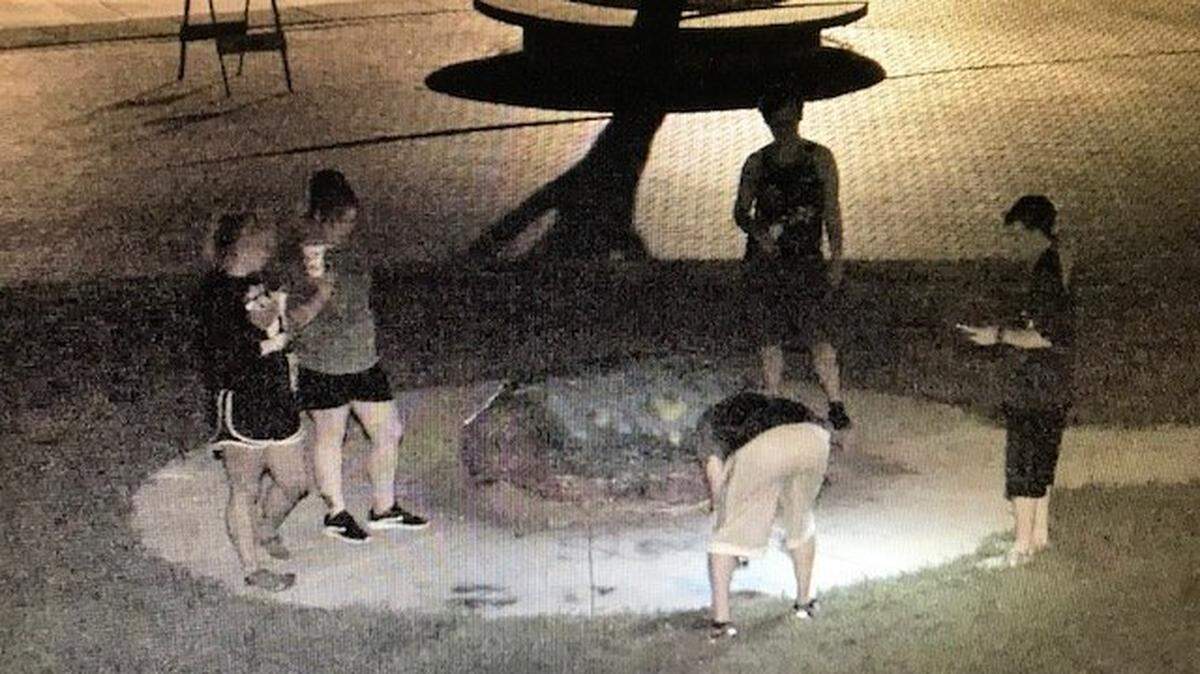 Southern Illinois University Edwardsville Police are looking for five people who allegedly spray-painted homophobic slurs on the sidewalks of the SIUE quad early Saturday morning. The suspects are described as three white males and two white females.