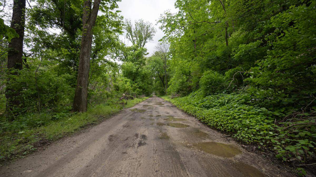 A trail in White Rock Nature Preserve in southern Illinois.