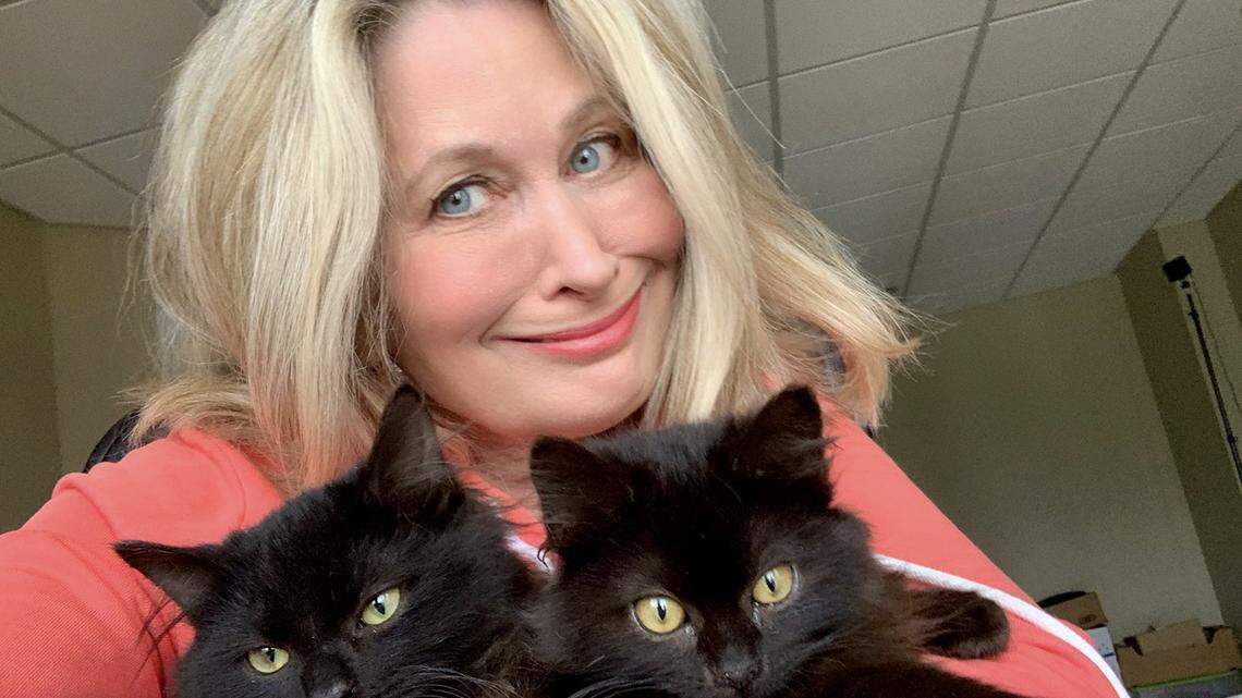 ‘Tail’ of two kittens has purrrfect ending