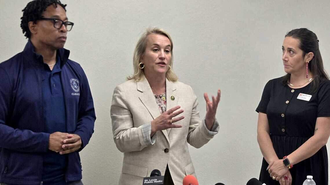Immigrants held by ICE are neglected at jail, southern Illinois lawmaker says