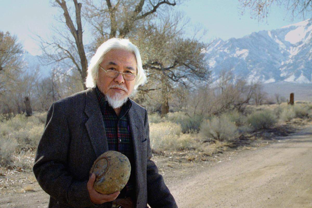 An exhibition of the works of Arthur Towata (pictured) opens Friday at the Jacoby Arts Center in Alton. The local artist’s work was inspired by local wildlife in the Mississippi River landscape. For information, visit www.jacobyartscenter.org.