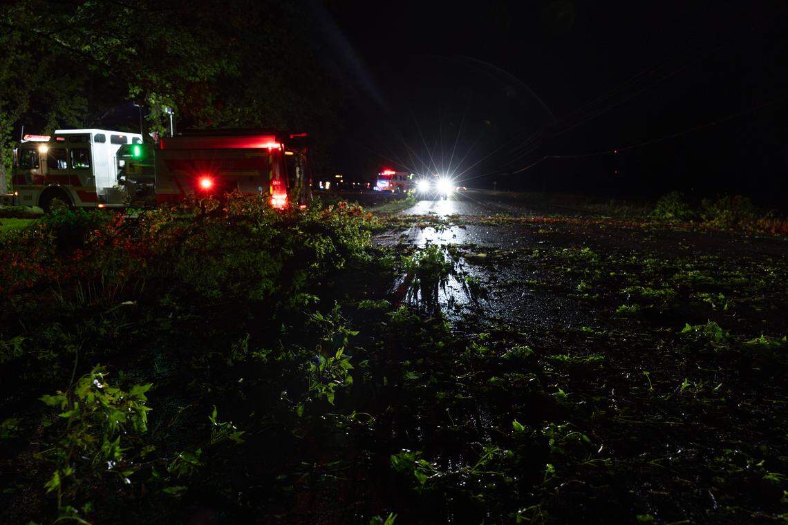 Downed trees cover Illinois 160 south of Trenton Monday.