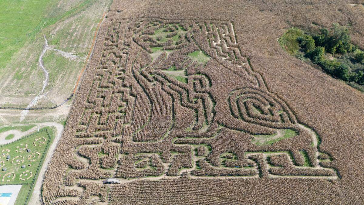 Eckert’s Milstadt Fun Farm hosts a different themed corn maze each year, with this year’s theme being that of stray animal rescue. This drone photo shows a dog with the words “stray rescue” cut into the maze.