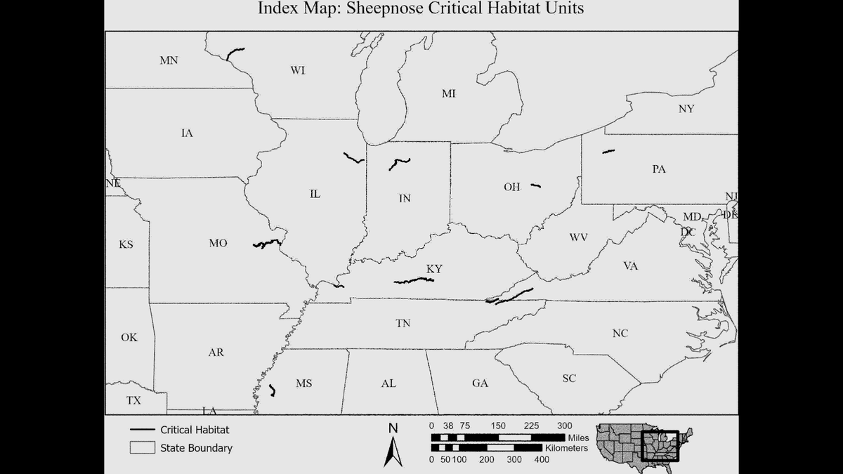 The sheepnose mussel was historically found in 79 waterways.