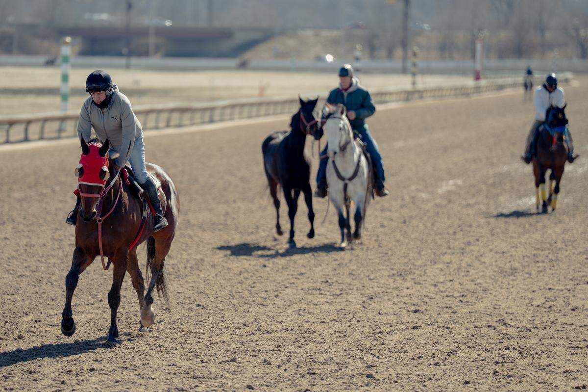 Trainers run their horses during a warmup on Thursday, March 6, 2025, at Fairmount Park in Collinsville.