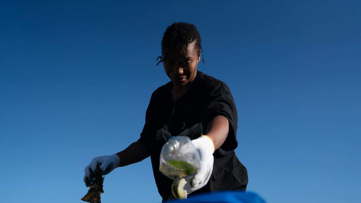 A volunteer throws trash into a receptacle at a cleanup in East St. Louis on Nov. 15, 2024.