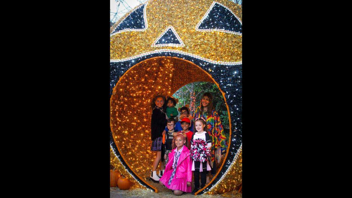 More spooktacular fun and fall festivals in the metro-east take place this weekend