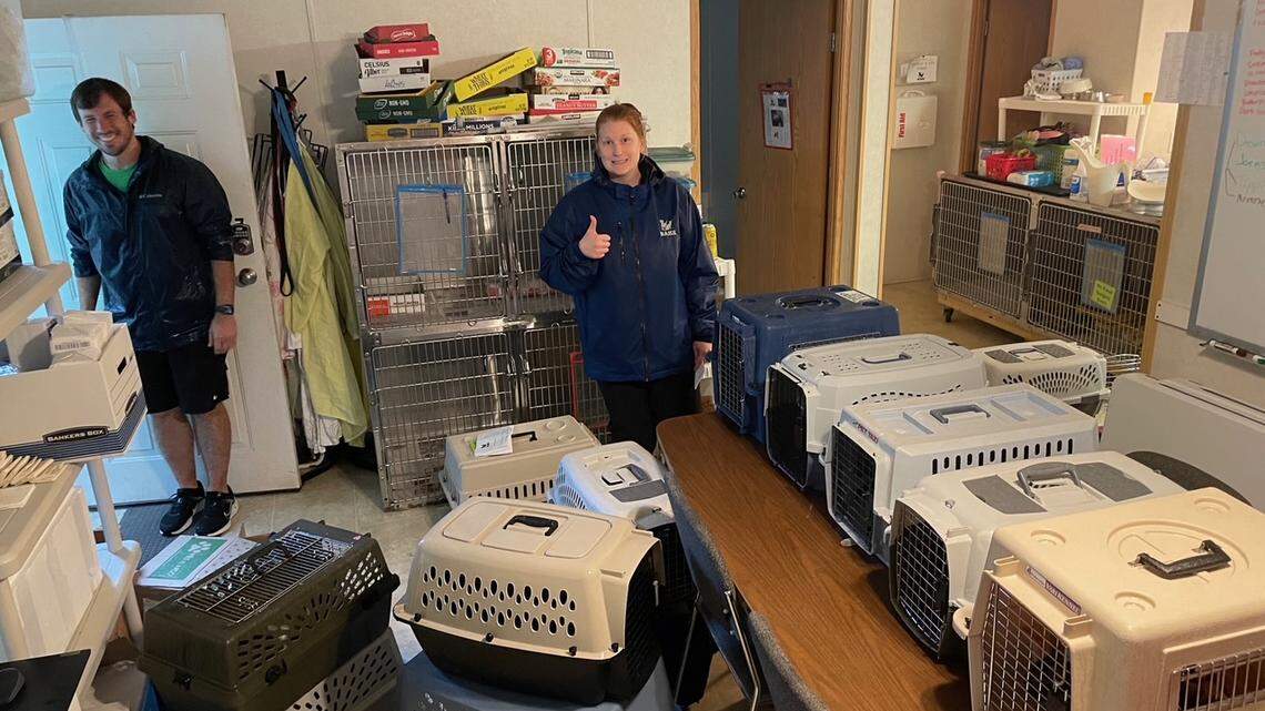 ‘This time it was so much worse.’ Belleville animal shelter floods again, rescues step up