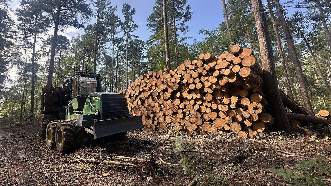 Trump administration logging rule would expose southern Illinois forest