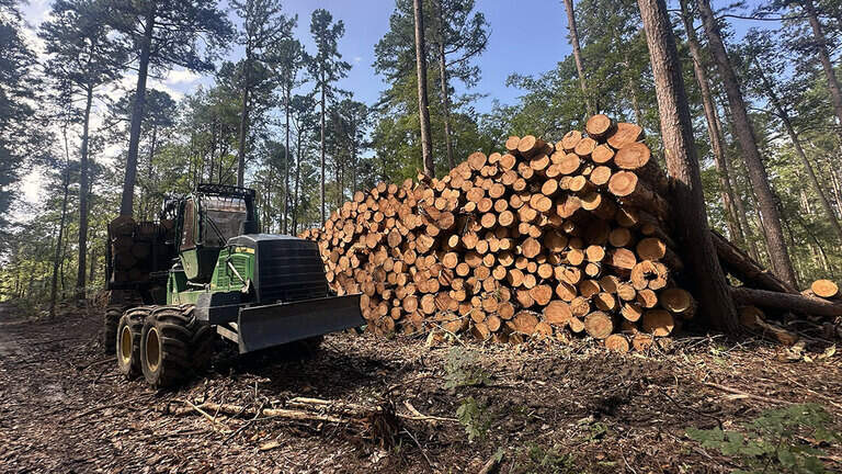 Trump administration logging rule would expose southern Illinois forest
