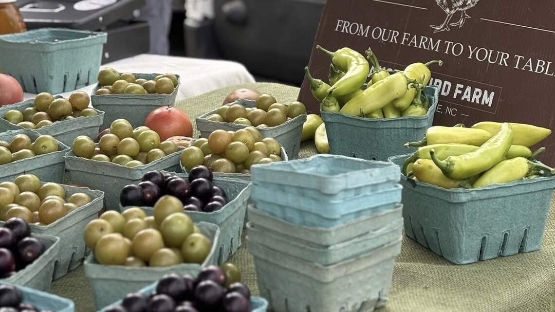 New Charlotte farmers market program will give $30 to women, children in need