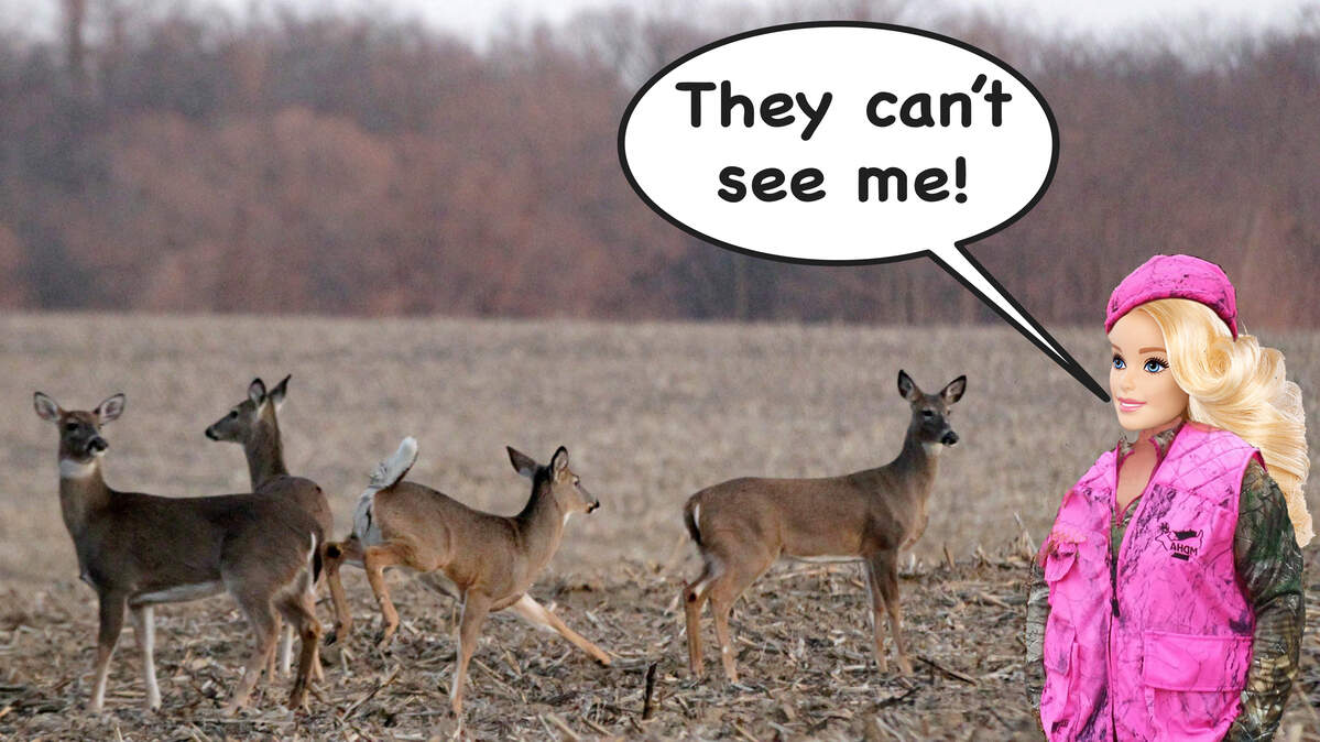 A bill to allow hunters to wear blaze pink during deer hunting season passed the Illinois House. Bigger game remains elusive.