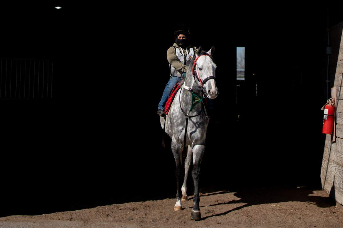 A trainer guides a horse to the track on Thursday, March 6, 2025, at Fairmount Park in Collinsville.