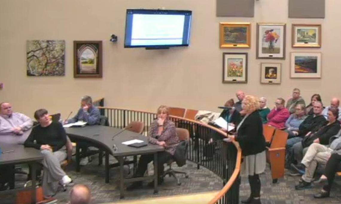 Geri Boyer, owner of Kaskaskia Engineering Group, standing at microphone, speaks at a Belleville City Council meeting Tuesday night about the termination of her company’s contract on a Forest Avenue road project.