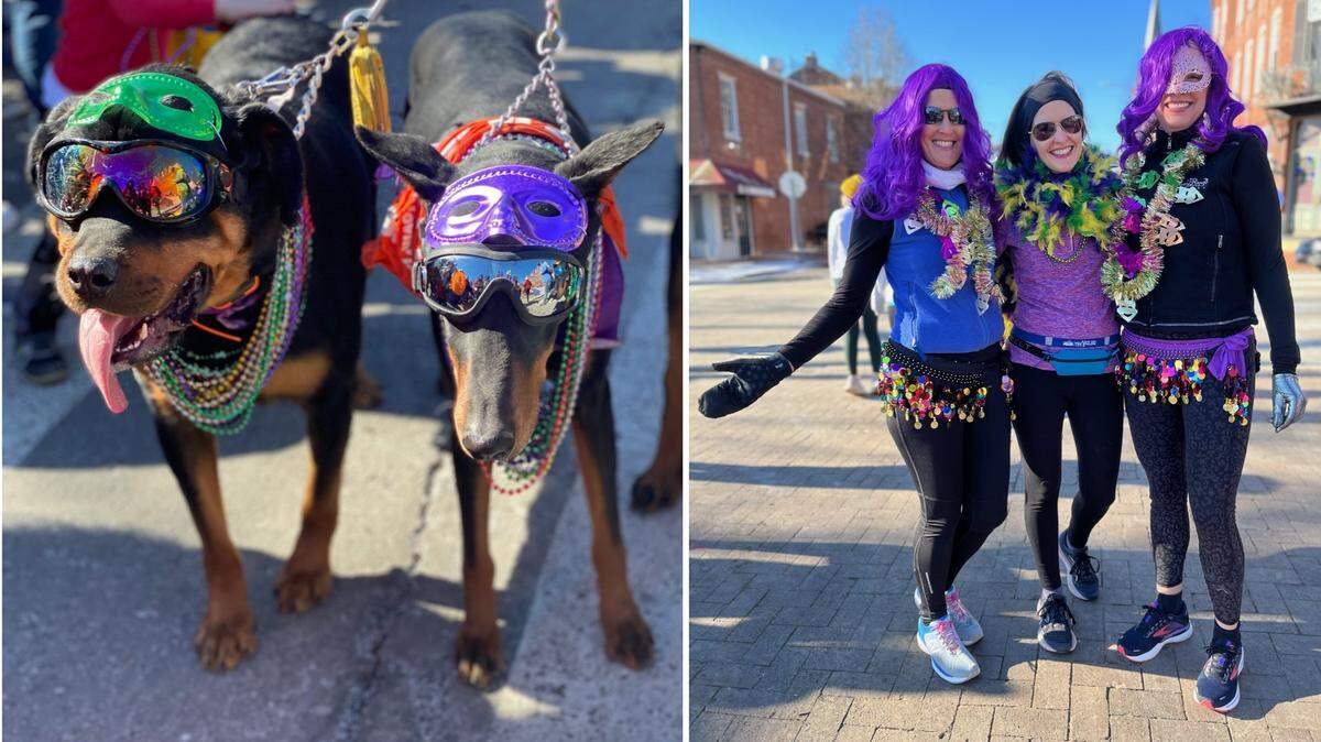 Participants at the Soulard Mardi Gras pet parade in St. Louis, both canine and human, dressed for the occasion on Sunday.
