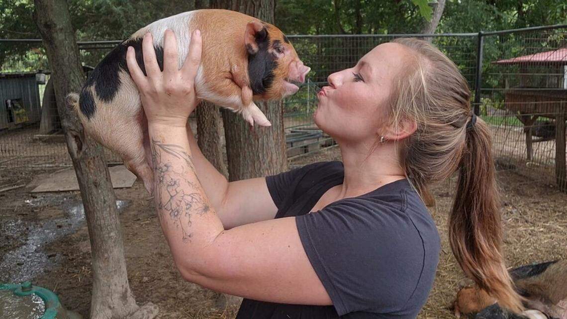 Belleville Scottish Rite going hog wild for humane society, Southern Illinois Charities