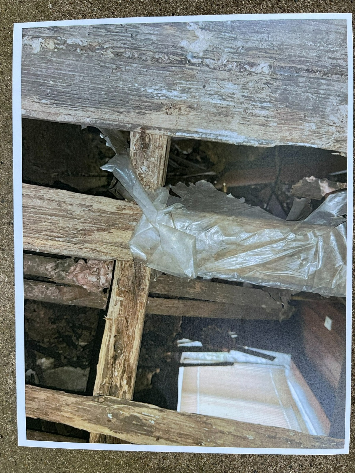 One of about 80 photos taken by Scott Tyler, the city of Belleville’s director of health, housing and building, inside a derelict building at 1013 W. Main St. that is slated for demolition.