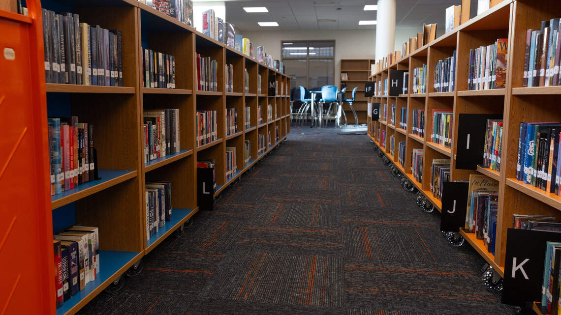 Illinois launches new statewide digital library. Here are the extra perks