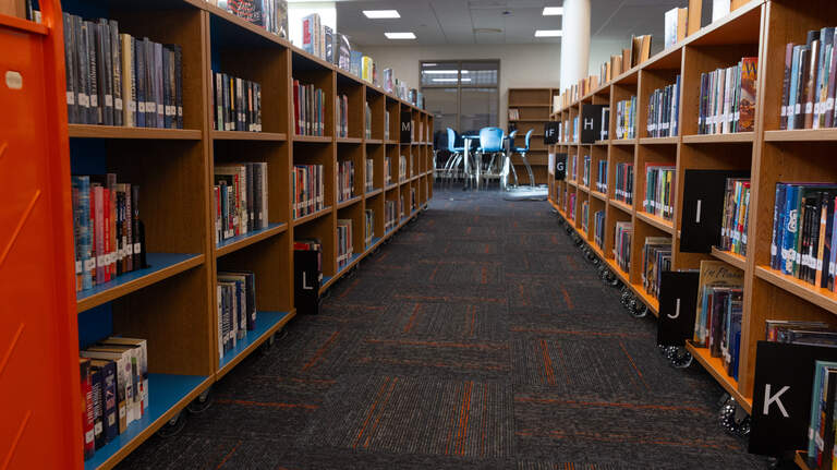 Illinois launches new statewide digital library. Here are the extra perks