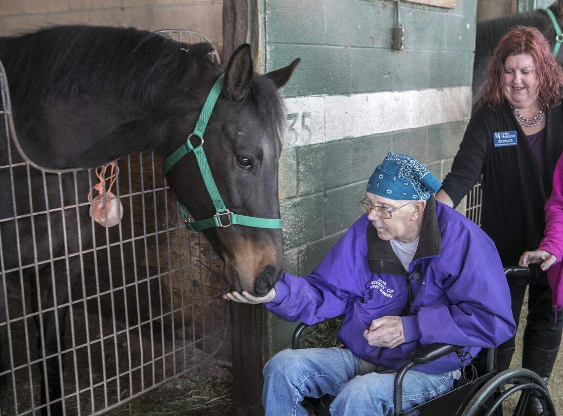 John Brown gives a peppermint to his favorite horse, Dreymore.  Brown, 60, is a lifelong horseman, working as a trainer and a groom and in any other capacity he could find around horses since he was a child.  For decades he worked at Fairmount Racetrack in Collinsville, caring for and training racehorses including Dreymore.