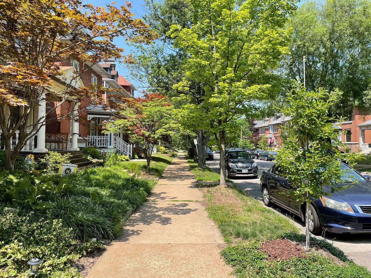 A tree-lined street in St. Louis. Alan Jankowski, the commissioner of forestry for the city of St. Louis, said earlier this month there was a nearly 10 degree difference between the parts of the city with ample tree cover and those without it.