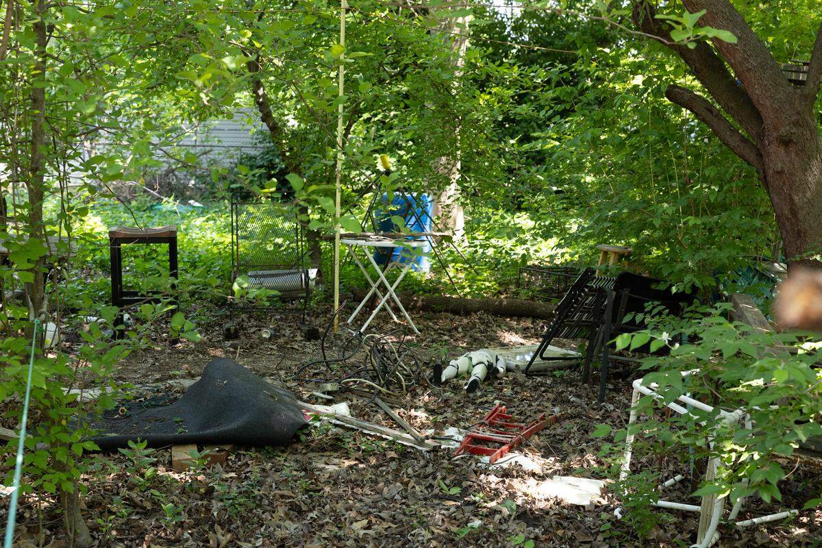 Stewart Lannert's yard on South 29th Street in Belleville is shown after city workers thinned out what one official called a “jungle” of tall grass and weeds, brush and saplings on Thursday.