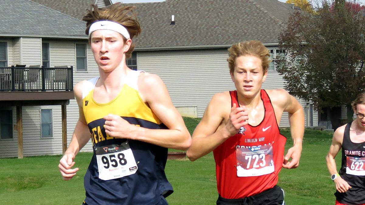 O’Fallon’s Will VanAlstine placed 6th overall to lead the Panthers the chamionship of the Quincy Class 3A Sectional Cross Country Meet Saturday. O’Fallon moves on to state this weekend in Peoria.