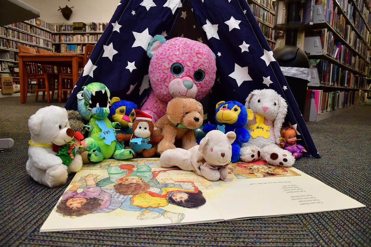 The Caseyville Public Library will hold its third annual Fuzzy Friend Sleepover Friday night. Children will be able to bring a favorite stuffed animal to the library and enjoy story time before leaving them for the night. Fuzzy friends will enjoy a night of activities that will be photographed for the kids to enjoy the next day when they return for breakfast and take their friends home.