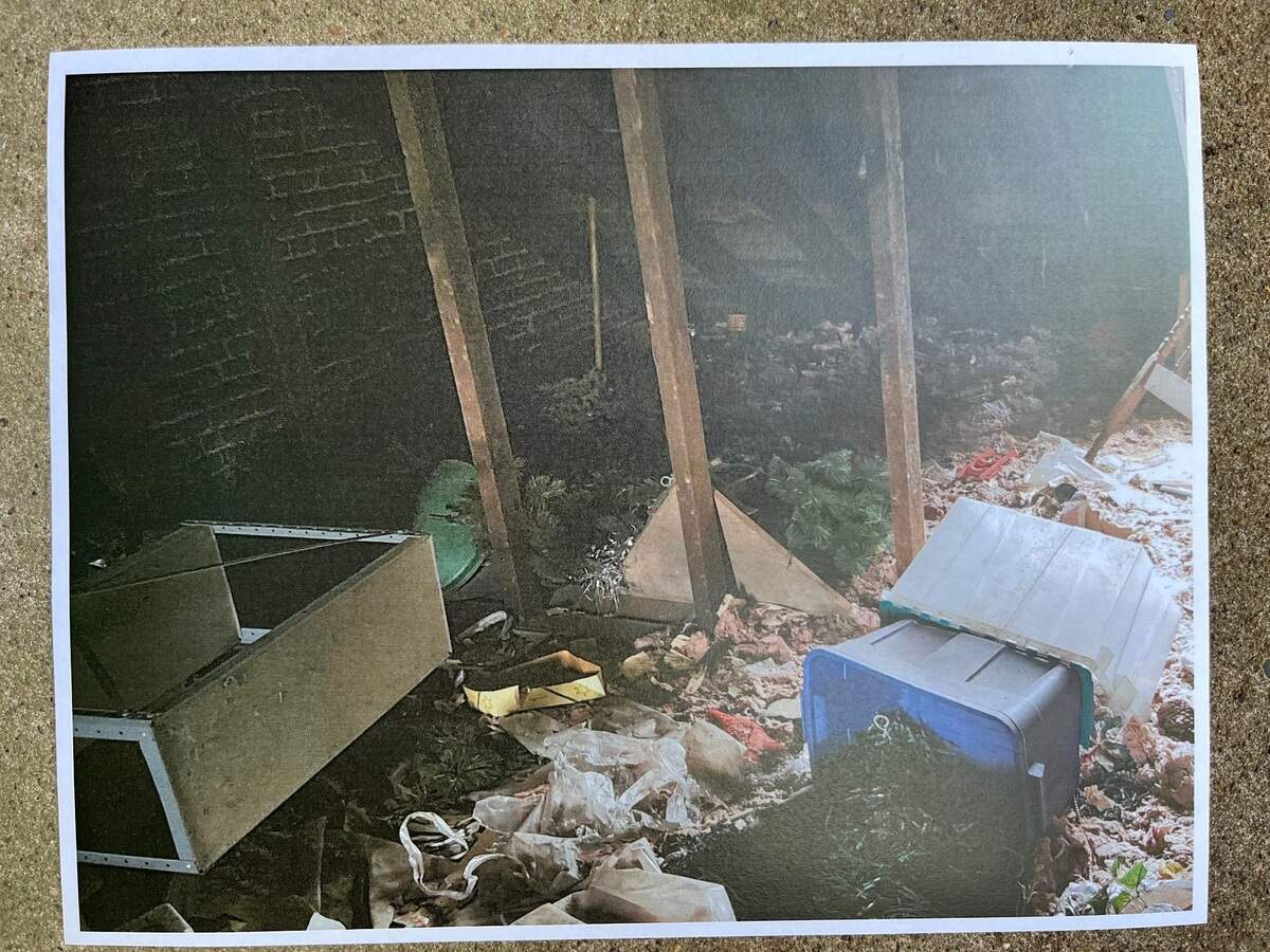 One of about 80 photos taken by Scott Tyler, the city of Belleville’s director of health, housing and building, inside a derelict building at 1013 W. Main St. that is slated for demolition.
