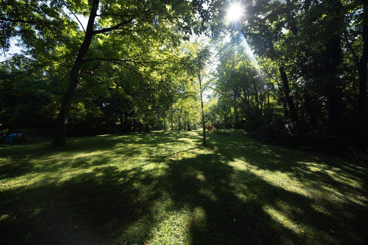 The house at 21 Charles Dr. and its unique yard are both protected by a series of woods and fruit trees, carefully nurtured and planted over the course of 15 years since the owners first took up residence.