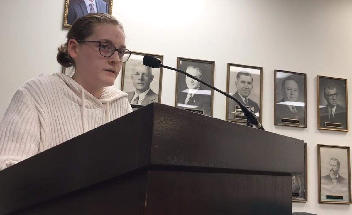 Kate Voss, 13, testifies before Edwardsville City Council Tuesday night, encouraging aldermen to vote for an ordinance requiring retailers to charge a fee for single-use shopping bags.