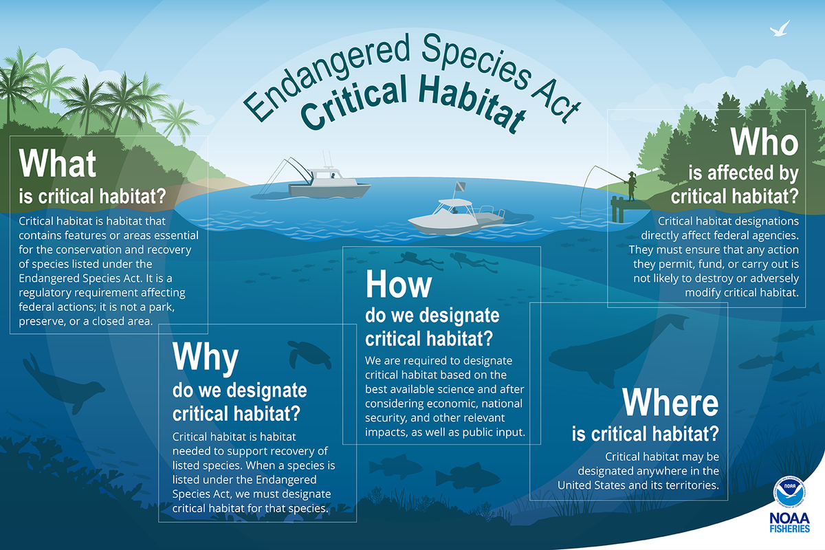 Critical habitat is a habitat needed to support the recovery of species listed under the Endangered Species Act.