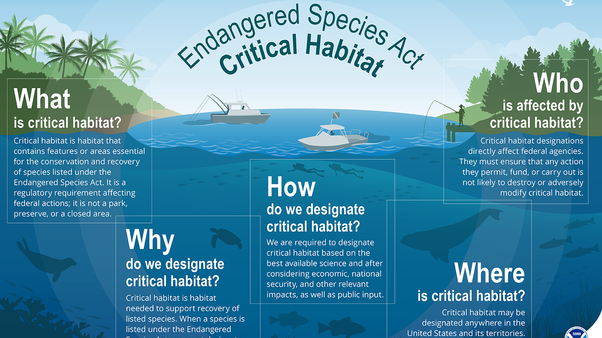 Critical habitat is a habitat needed to support the recovery of species listed under the Endangered Species Act.