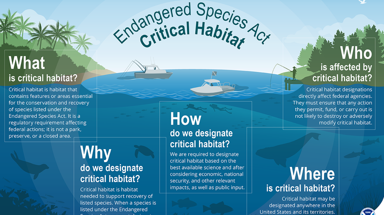 3 rivers in Illinois are now ‘critical habitats’ with wildlife on the line