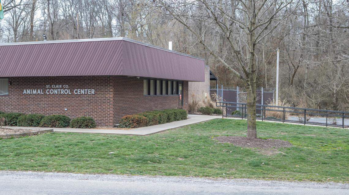 A creek that runs directly behind St. Clair County Animal Control, located on 11th Street in Belleville, can back up onto the lower ground around the building. During the major rainfall event that happened in July of 2022 water spilled the banks of the creek until dogs sheltered there were standing in water up to their chests.