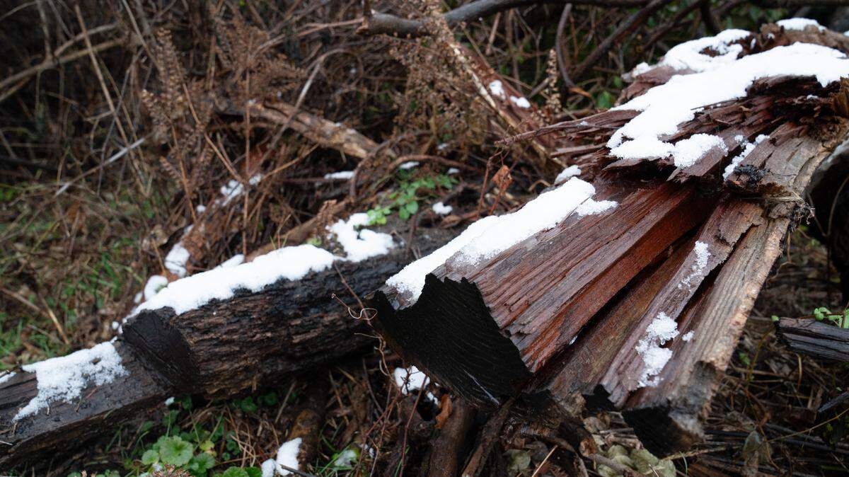 This is just a dusting from late last year in East St. Louis, but the region could be in for more next week, according to the National Weather Service.