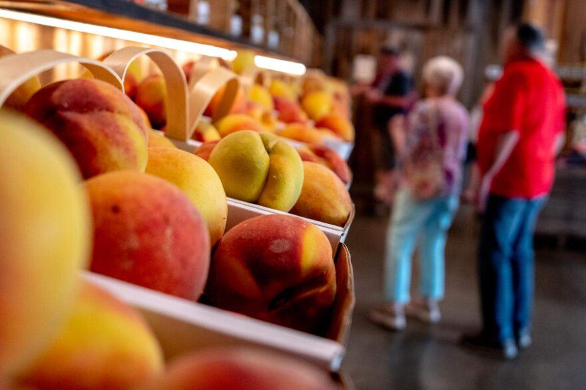 Customers shop for sweet peaches on July 13 at Flamm Orchards in Cobden.